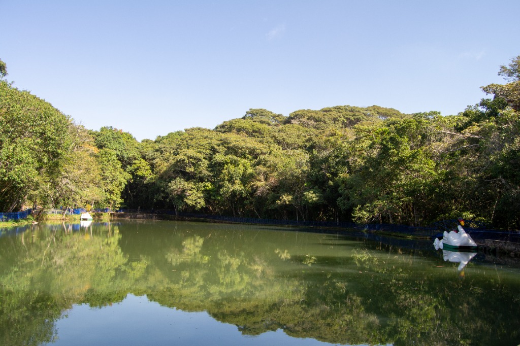 Lago e Pedalinhos